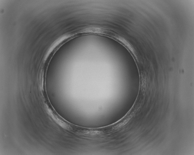 X0000083561131200702231556