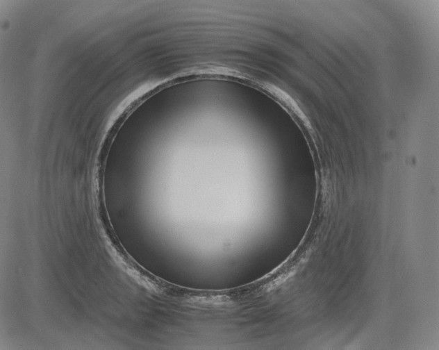 X0000083561133200702231556