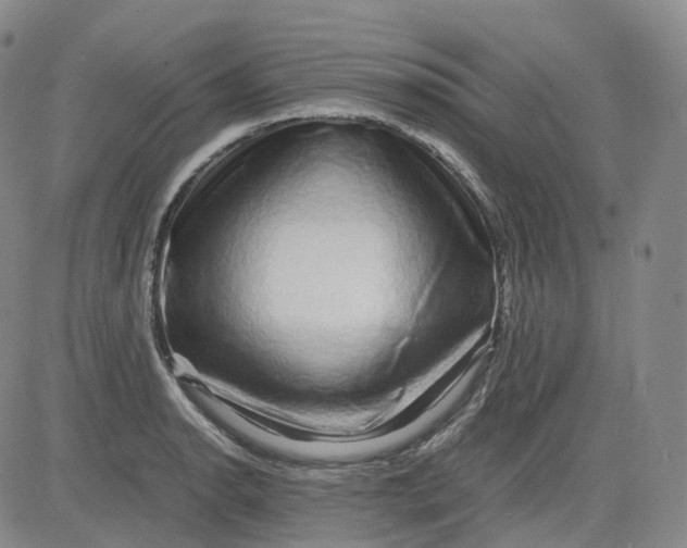 X0000083561134200702231556