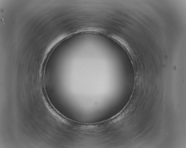 X0000083561135200702231556