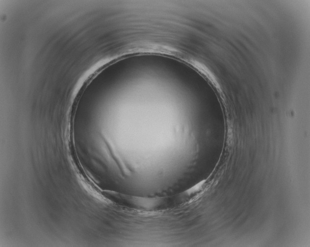 X0000083561136200702231556