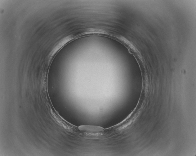 X0000083561137200702231556