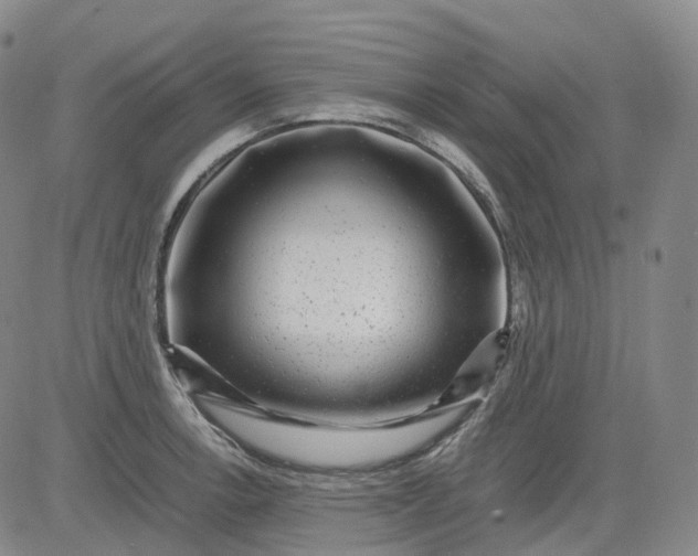 X0000083561138200702231556