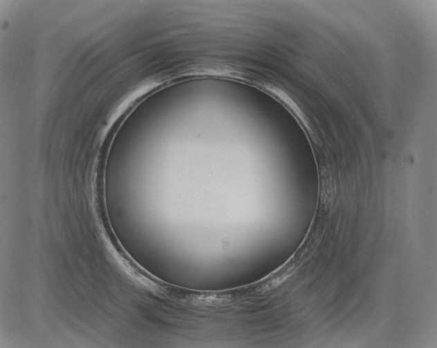 X0000083561139200702231556