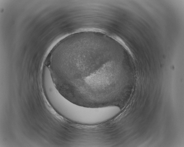 X0000083561140200702231556