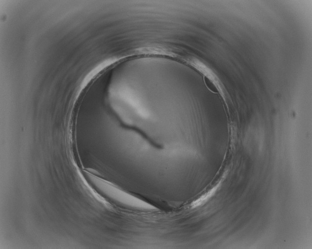 X0000083561141200702231556