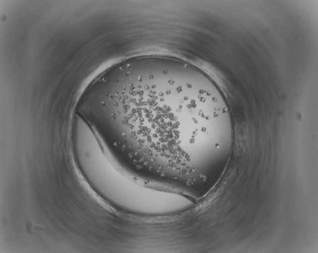 X0000083561142200702231556