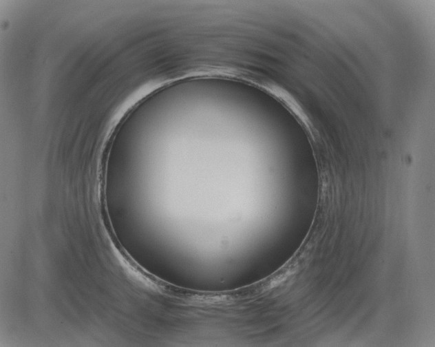 X0000083561143200702231556