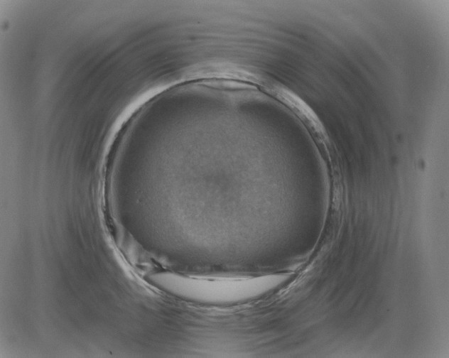 X0000083561144200702231556