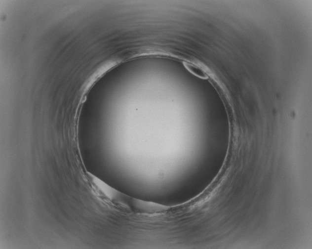 X0000083561145200702231556