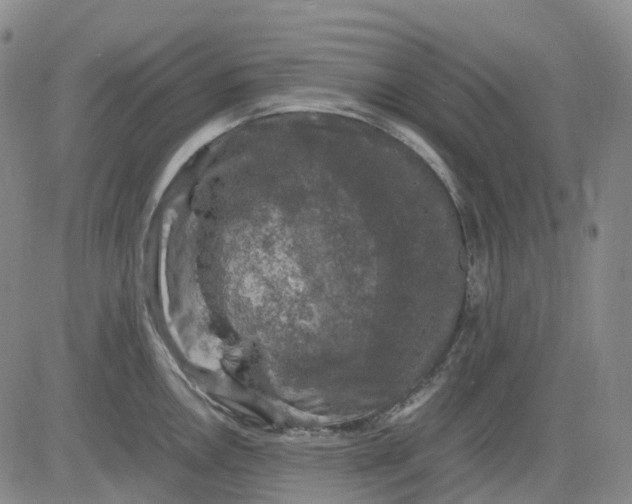 X0000083561146200702231556