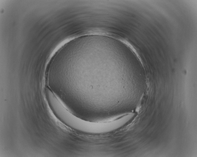 X0000083561147200702231556