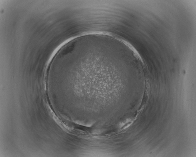 X0000083561148200702231556