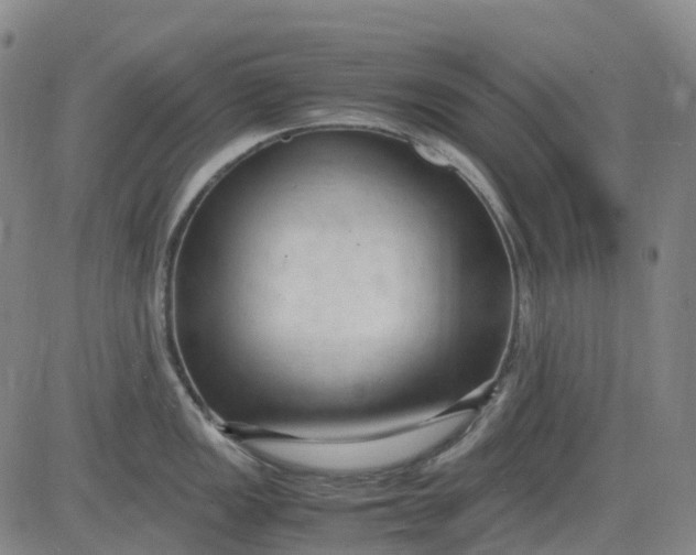 X0000083561149200702231556