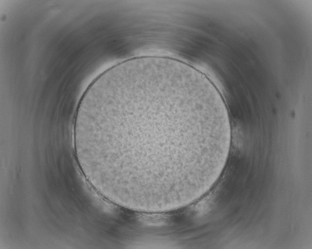 X0000083561150200702231557