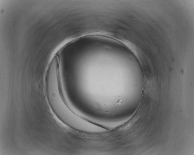 X0000083561151200702231557