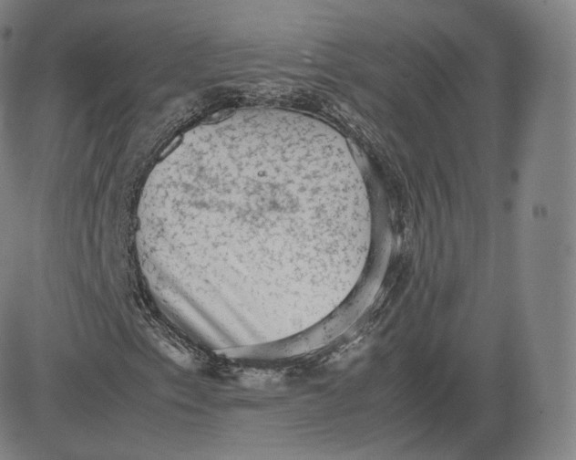 X0000083561153200702231556