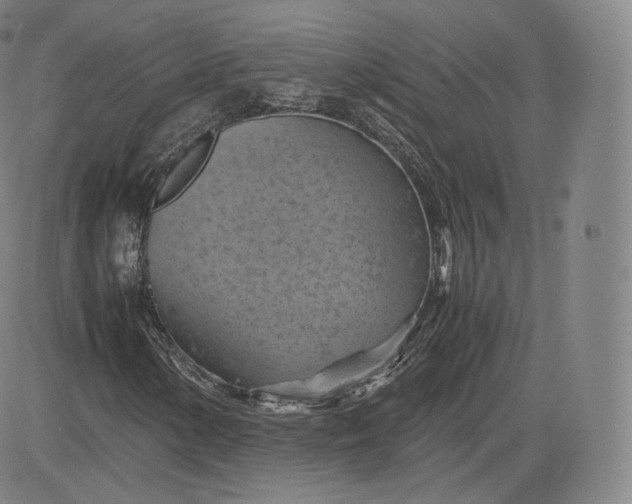 X0000083561154200702231556