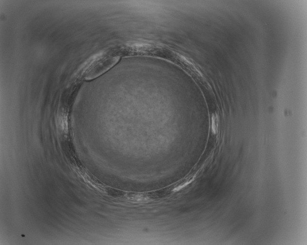 X0000083561155200702231556