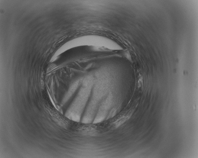 X0000083561156200702231556