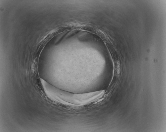 X0000083561157200702231556