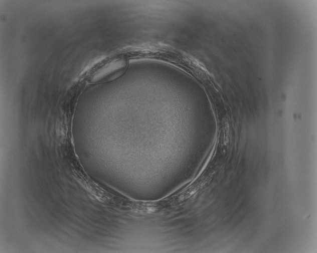 X0000083561158200702231556