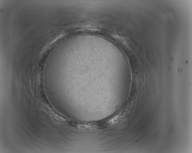 X0000083561159200702231556