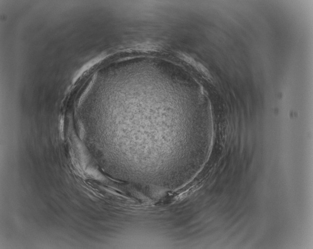 X0000083561160200702231556