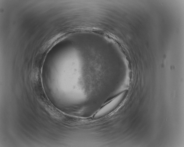 X0000083561161200702231556