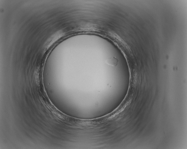 X0000083561162200702231556