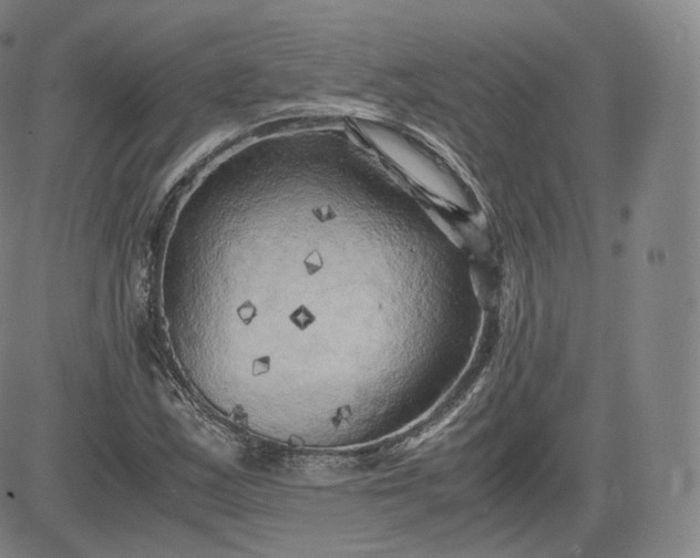 X0000083561163200702231556