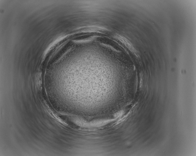 X0000083561164200702231556