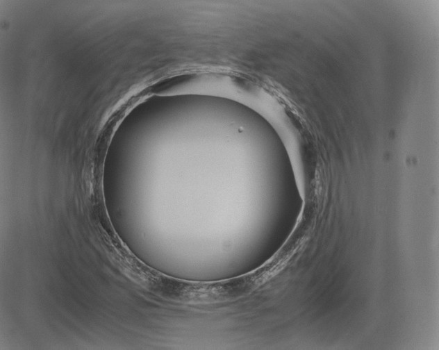 X0000083561165200702231556