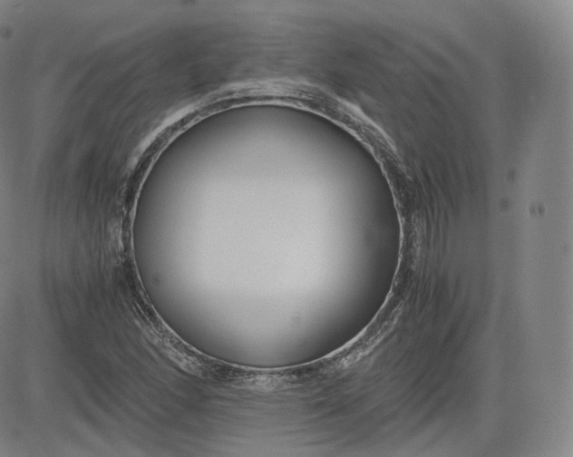 X0000083561166200702231556