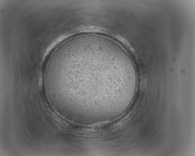 X0000083561167200702231556