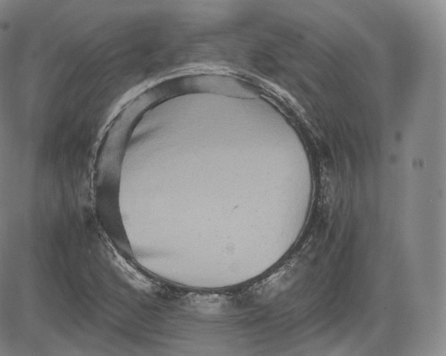 X0000083561168200702231555