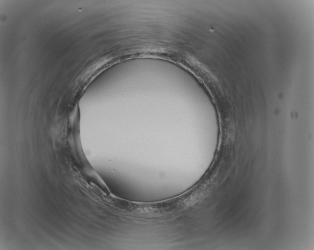 X0000083561169200702231555