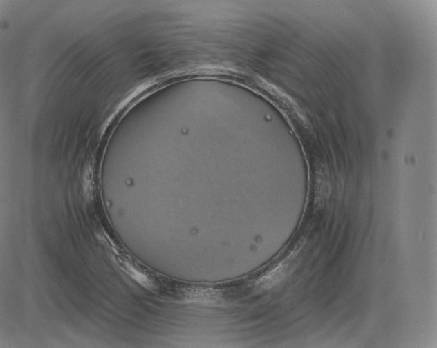 X0000083561170200702231555