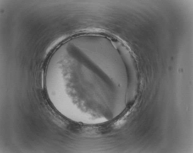 X0000083561171200702231555