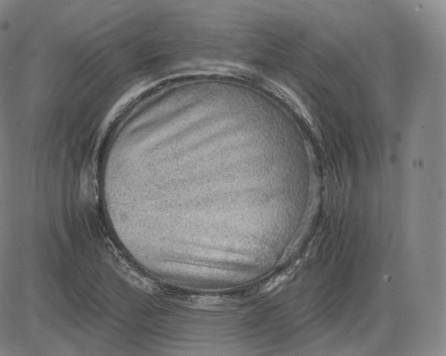 X0000083561172200702231555