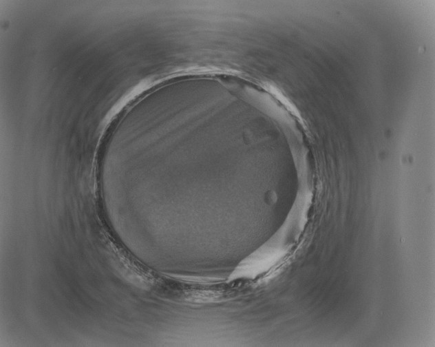 X0000083561173200702231555