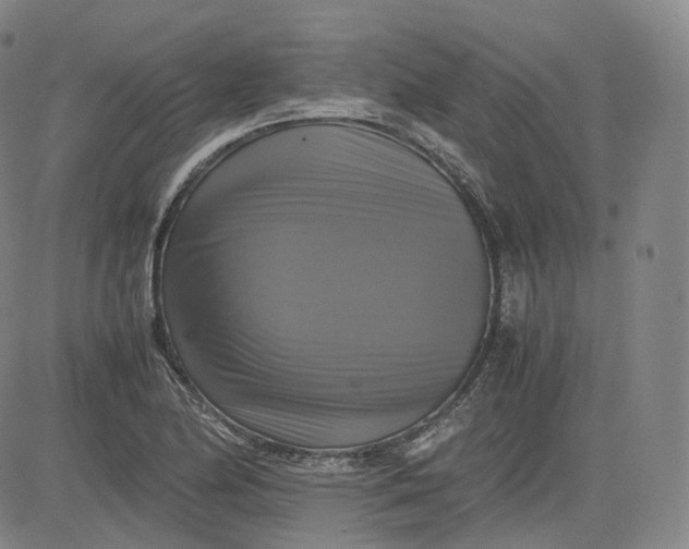 X0000083561174200702231555