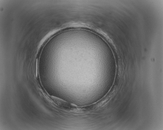 X0000083561175200702231555