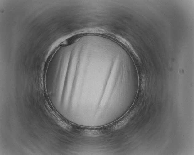 X0000083561176200702231555