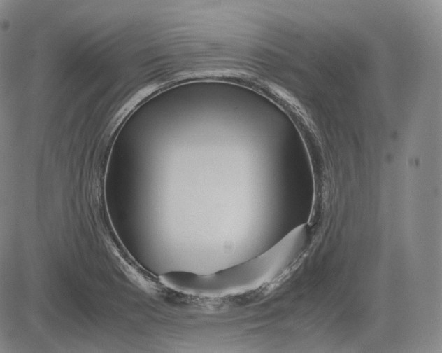 X0000083561177200702231555