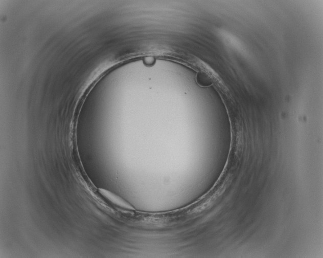 X0000083561178200702231555