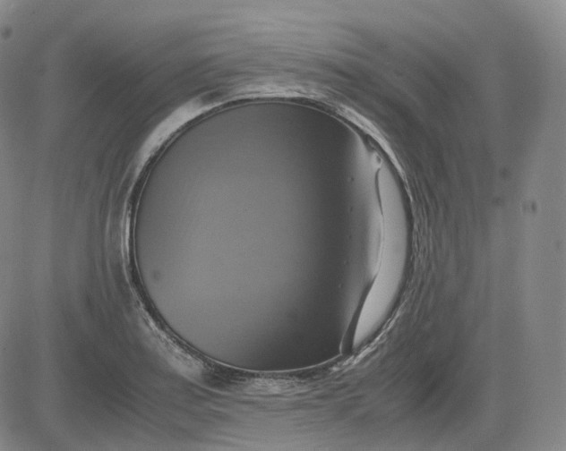 X0000083561179200702231555