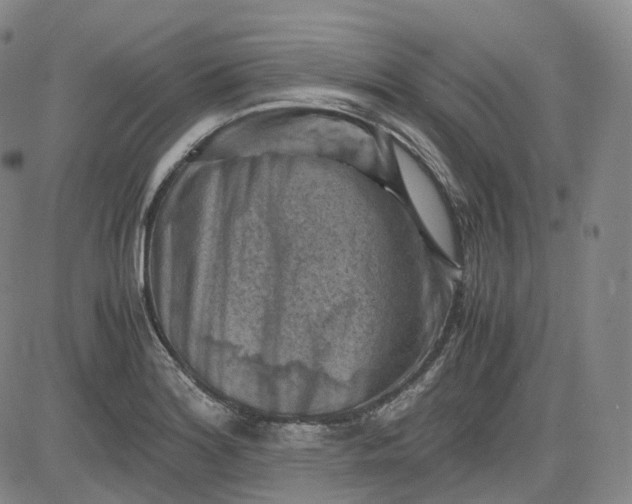 X0000083561180200702231555