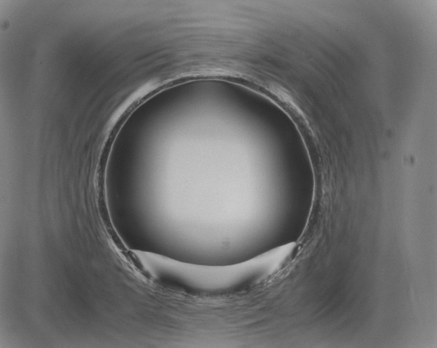 X0000083561181200702231555