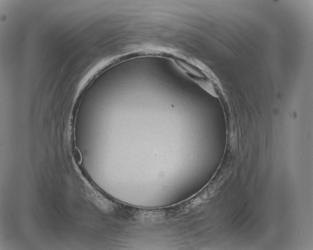 X0000083561183200702231555